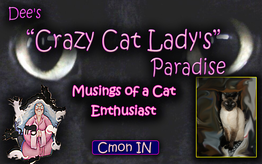 Dees Crazy Cat Paradise.. a cat friendly place